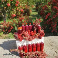 آب زرشک و آب انار خالص و طبیعی