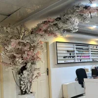 شکوفه گیلاس