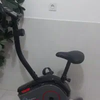 دوچرخه ثابت ایرون مکس