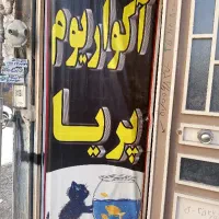 آکواریم پریا با ۲۵ سال سابقه