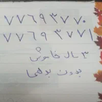 خط تلفن ثابت