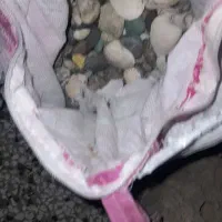 شن آکواریوم ماهی