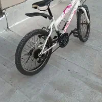 دوچرخه کوهستان بونیتو