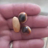 عقیق سیلمانی ملکی