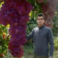 نتیجه رو در درآمد و زیبایی زمینت ببین