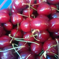 گیلاس