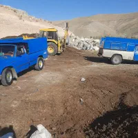 کود حیوانی|خدمات باغبانی و درختکاری|باسمنج, |دیوار