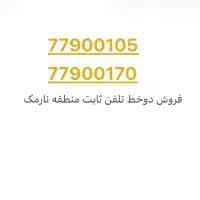 دو خط ثابت رند منطقه نارمک پایین گلبرگ