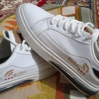 کفش کتانی