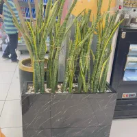 ۸ عدد گلدان فلای باکس