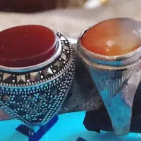 درحدنو