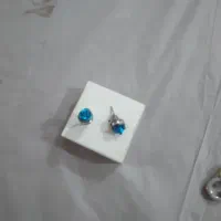 گوشواره وگل سینه لباس