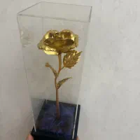 گل رز