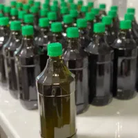 روغن زیتون اصل  و خالص رودبار