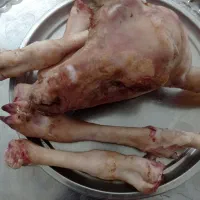 کله پاچه ورک شیری