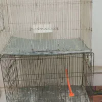 قفس پرنده