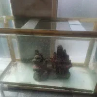 اکواریوم و وسایل جانبی