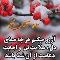 الاغ۲ساله جوان گله ای بشرط قیمت توافقی