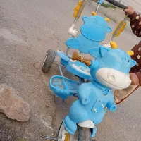 سه چرخه|دوچرخه، اسکیت، اسکوتر|چرداول, |دیوار