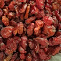 زرشک با کالا برگ