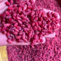 زرشک اعلای قاینات