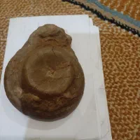 سنگ فسیل حلزونی