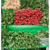 سبزی خوراکی تازه