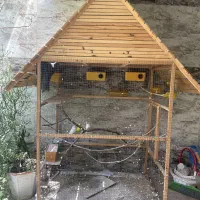 قفس چوبی