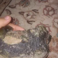 سنگ شها جذب آهنربا