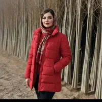 فروش نهال صنوبر