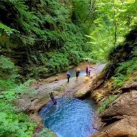 برگزار کننده تور های گردشگری و طبیعت گردی پارسیان