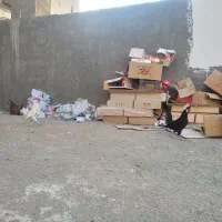 فروش ۲ عدد خروس