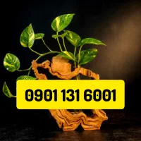 9011316001
