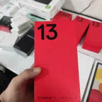 OnePlus 13