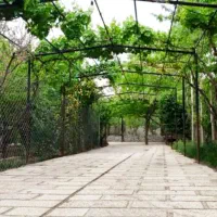 فروش-1000-متر-باغ-ویلا-سنددار-در-کردزار-شهریار