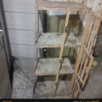 جفتگاه|لوازم جانبی حیوانات|گنبد کاووس, |دیوار