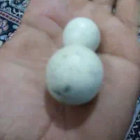 سنگ آسیاب الماس
