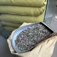تخمه گل افتاب ۱۸۰بوداده