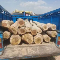 خرید چوب ضایعات
