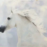تابلو فرش دستبافت چله ابریشم رج۵۰ نخ کره ۶۰/۹۰