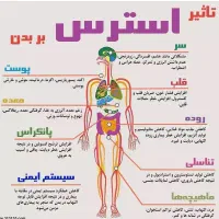 سم زدایی بدن با فیزیوتراپی