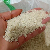 نیم دانه هاشمی