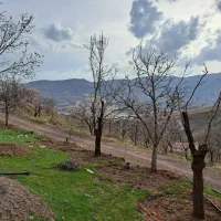 طالقان ۶ هکتار مناسب ویلا سازی جواز دار