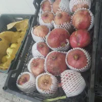 انار ابگیری