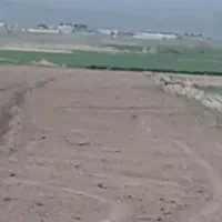 فروش-زمین-کشاورزی-در-کلات-جعفر-سید-آباد