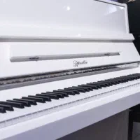 پیانو آکوستیک پرل ریور مدل EU118