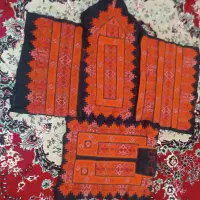 زی استین جوکی