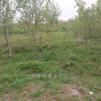 زمین باغی داخل طرح با نقشه ونسق معتبر