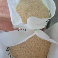 فروش برنج طارم هاشمی خوش پخت ، سال خورده