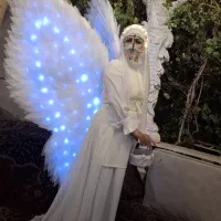 بال فرشته